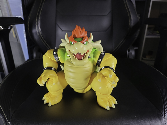Bowser Lighting 1
